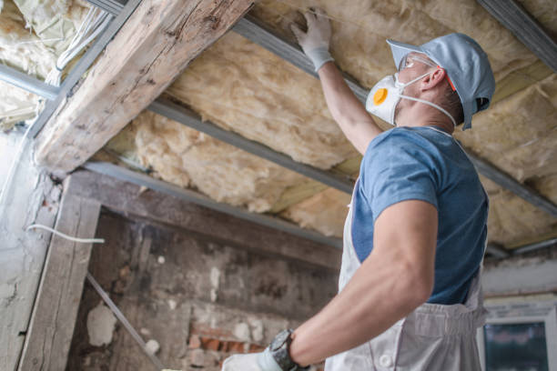 Best Spray Foam Insulation  in Jonesville, NC